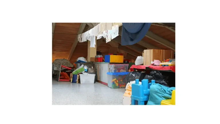 How to Get Rid of Mice in Your Missoula Attic