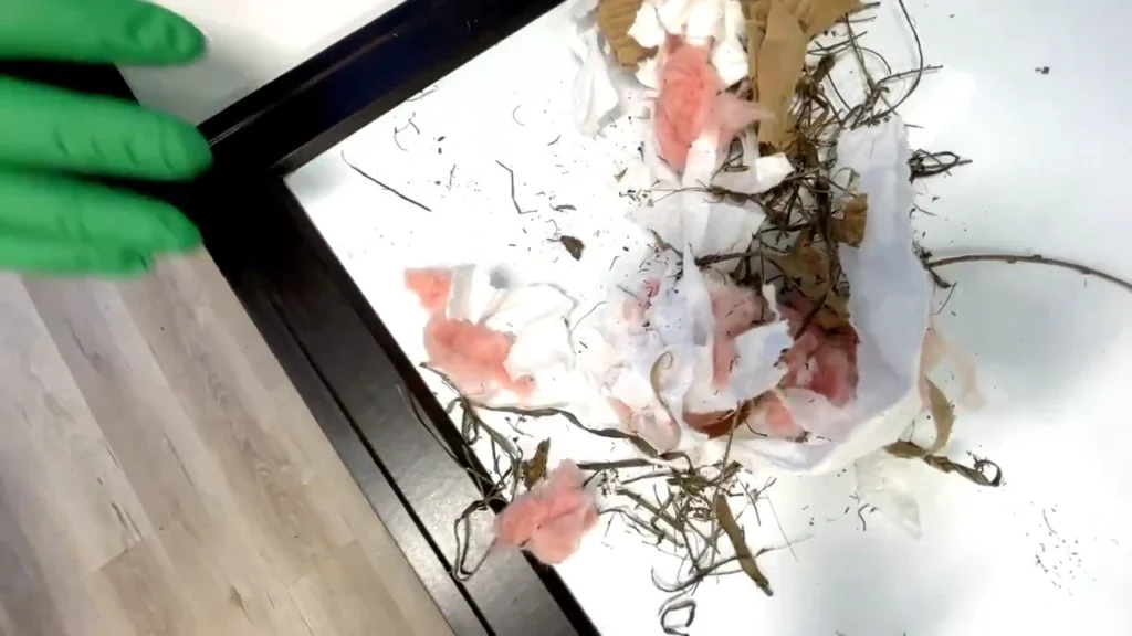 Mice Nesting Material